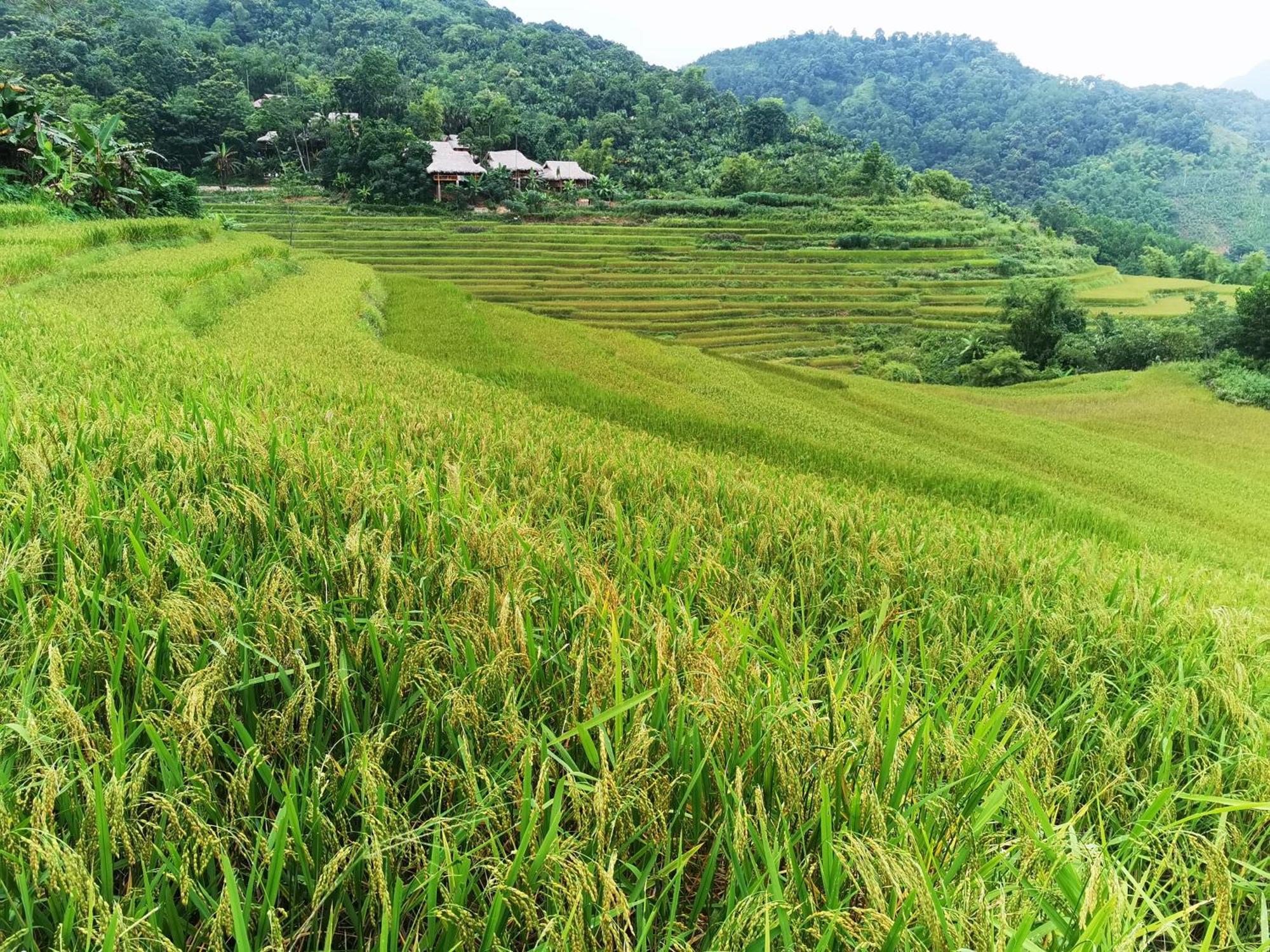 Pu Luong Natura Pokoj fotografie