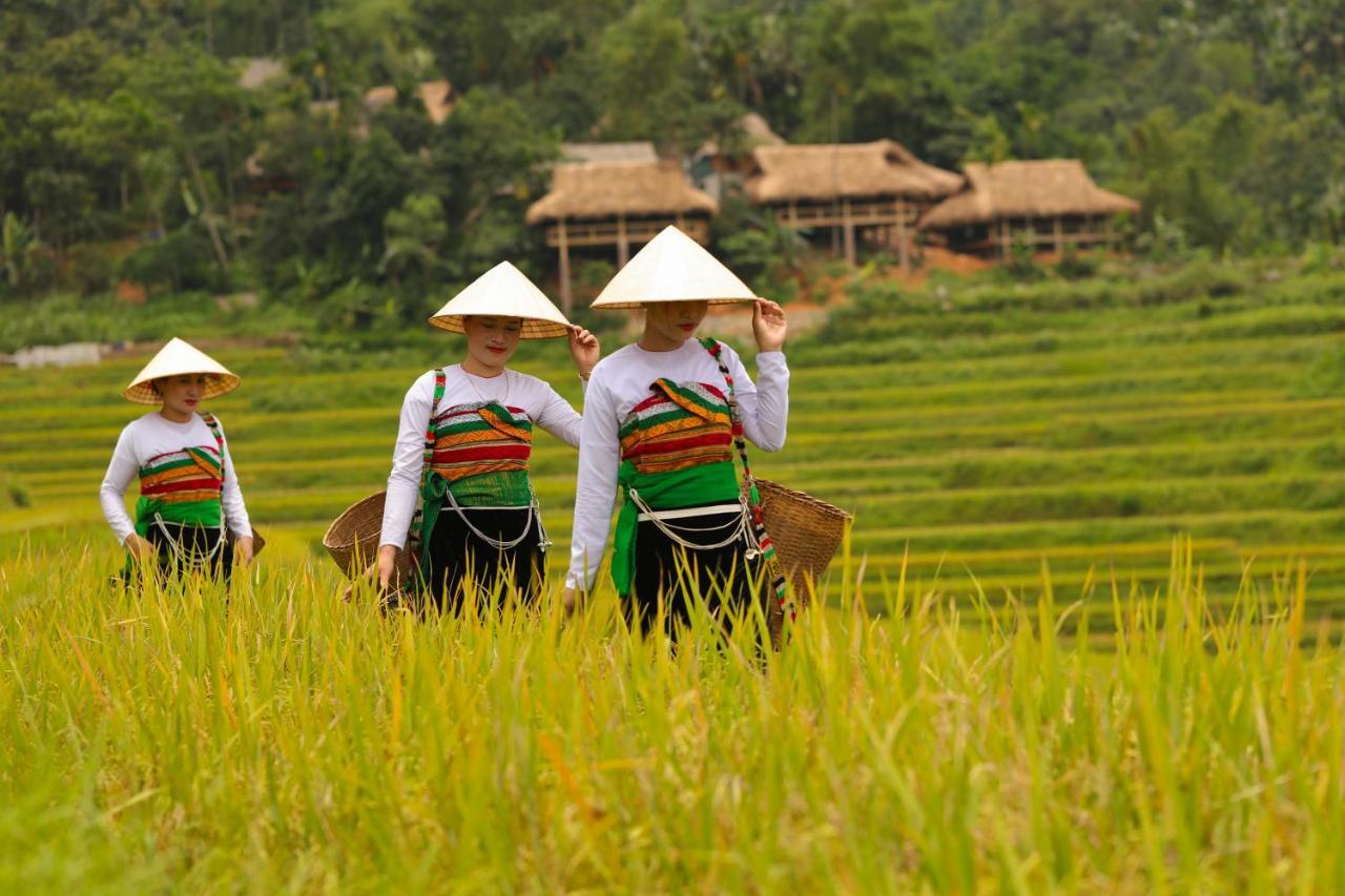 Pu Luong Natura Exteriér fotografie